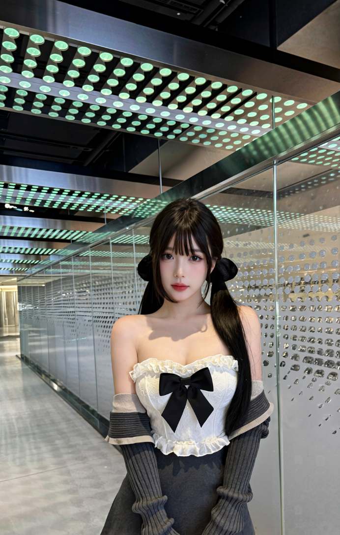 人脸提取功能输入示意